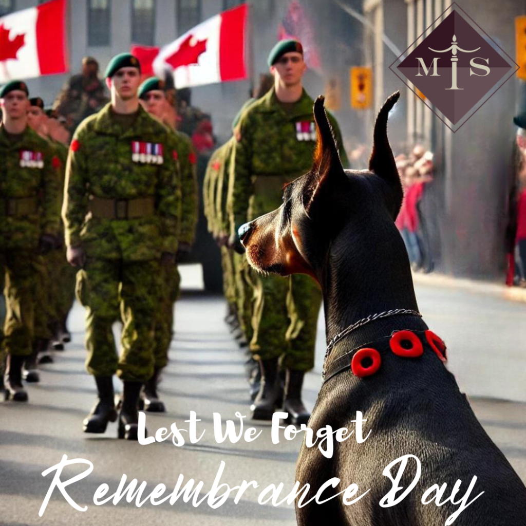 remembrance day