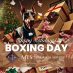 boxing day