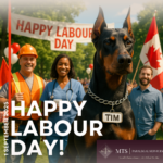 Ontario legal services