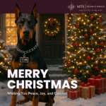 holiday legal services in Ontario