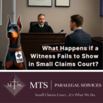 witness no-show Small Claims Ontario